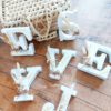 Lettres en bois et fleurs séchées – Image 6