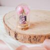 Mini cloches en verre avec photo
