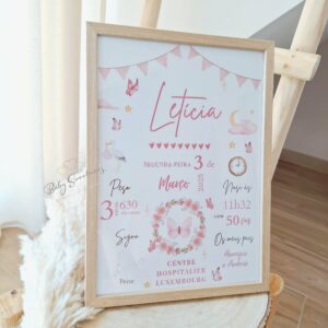 Cadre Naissance Papillon