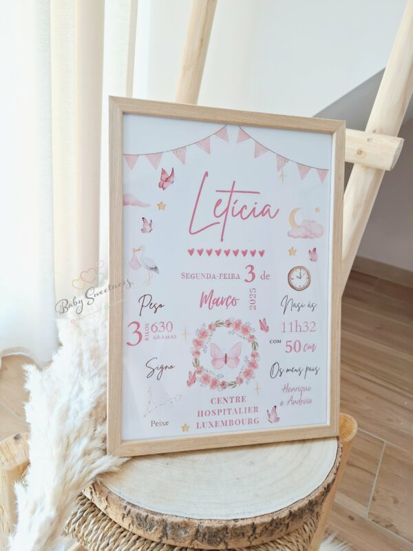 Cadre Naissance Papillon