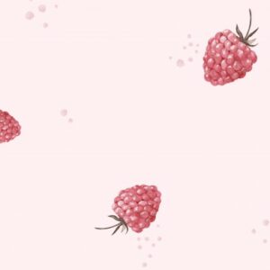 Tissu Douceur de framboise