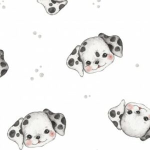 Tissu Dalmatien garçon